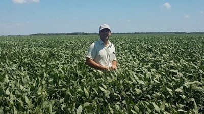 Arranca otra baja de las retenciones a la soja: el costo sería de $ 20 mil millones