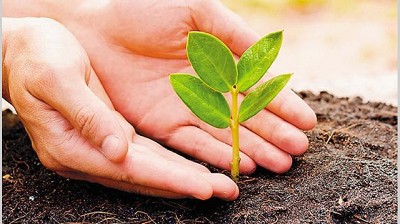 Cultivos sustentables serán la próxima revolución tecnológica en agroindustria