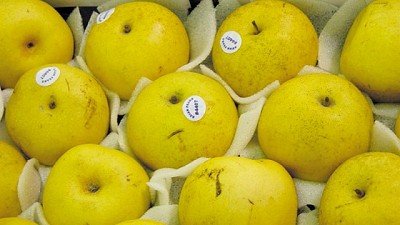 Reglamentación de la ley de emergencia para la cadena de Manzanas y Peras