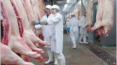 El consumo de cerdo creció el 10% el año pasado y superó las 500.000 toneladas