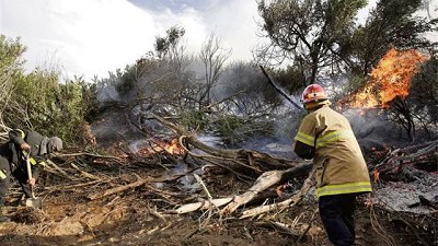 Susto por un incendio forestal en Villa Gesell