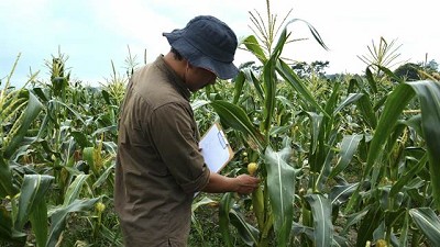 Una campaña agrícola complicada
