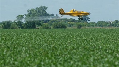 Del glifosato a los perros asilvestrados: los debates que el país tiene que dar y definir, por Dardo Chiesa