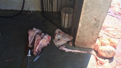 Senasa clausuró un matadero municipal por faltas graves