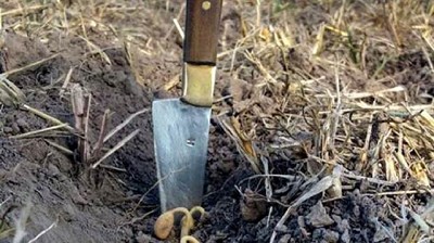 La sequía podría recortar el ingreso de divisas en más de US$ 3200 millones