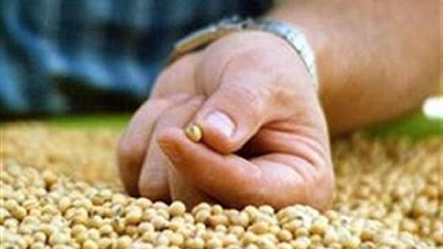 Pese a las bajas externas y a la apreciación del peso, el precio de la soja se mantuvo en 5000 pesos