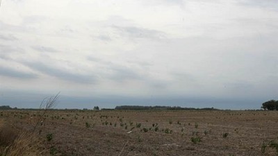 Cuáles son las probabilidades de lluvias para los próximos días en las zonas agrícolas