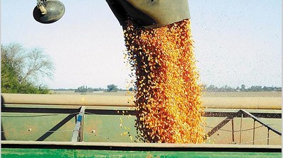 Pese a la baja de retenciones, el complejo sojero aportará u$s 7100 M en dos años