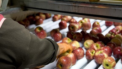 Manzanas y peras frescas podrán incorporar el sello de calidad 