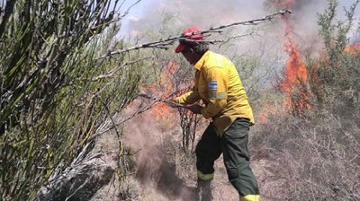 En Mendoza, lograron contener el périmetro de los incendios