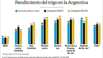 Lo que el trigo dejó: el rinde, por encima del promedio de los últimos cinco años