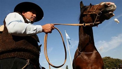Después de 50 años en vigencia, el Gobierno dejó sin efecto una ley de Fomento Equino