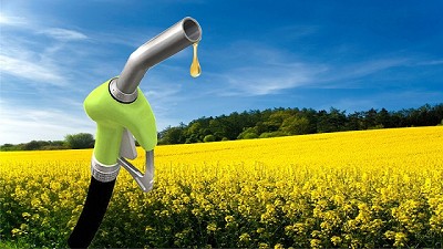 Argentina presentará una demanda contra los EEUU en la OMC por el biodiesel