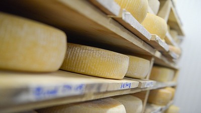 Durante el 2017 Argentina fue el principal proveedor de lácteos a Brasil