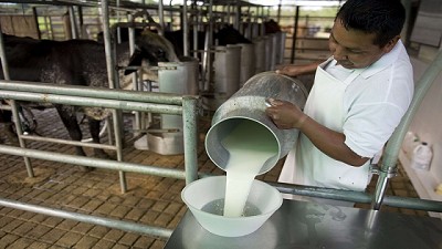 Jujuy: buscan financiamiento para fortalecer la producción de leche 