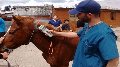 Oficializan en la provincia de Buenos Aires el registro de identificación equina