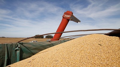 Origen de semilla: vencimiento de declaración jurada