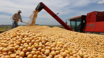 Mercado nuevo a vuelo de pájaro, por Celina Mesquida 