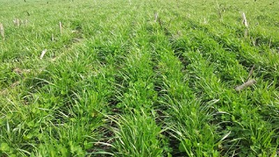 Saber cuánta agua hay en el suelo dejó de ser incógnita