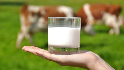 Los productores recibieron mayor porcentaje de precio en 2017, pero perdieron con la inflación