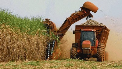 Más del 5% de la energía del país proviene de fuentes agropecuarias