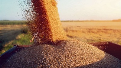 Calculan una suba de US$ 410 millones en los costos de la campaña por el aumento del gasoil