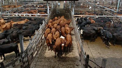 Mejora del valor de la hacienda especial