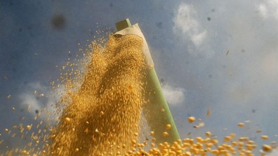 Una cosecha que se achica, por Pablo Adreani