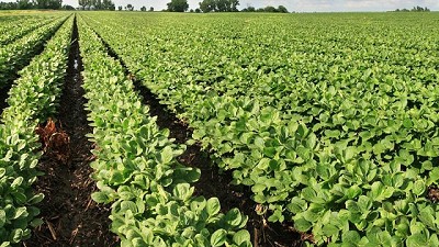 Zona técnica: los errores se pagan caro