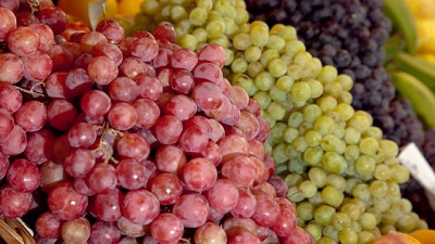 Nuevos productos de origen vegetal podrán ingresar a Indonesia