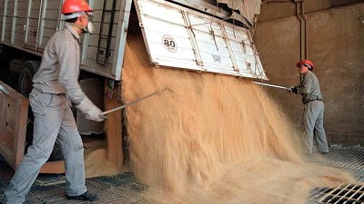 Continúa demorado el arribo de granos a los puertos