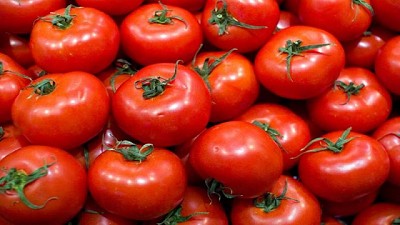 Identifican un nuevo virus que afecta al tomate