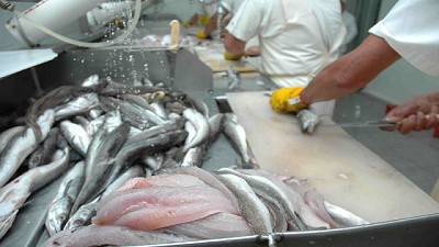 Rusia habilitó la importación de nuevas empresas pesqueras y productos avícolas