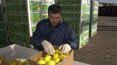 El Senasa reducirá a partir de hoy más trámites para la producción