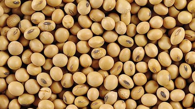 Por la devaluación del peso y las subas externas, aumentó la soja en Rosario