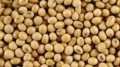 En un contexto de muy baja oferta, subió el precio de la soja en Rosario