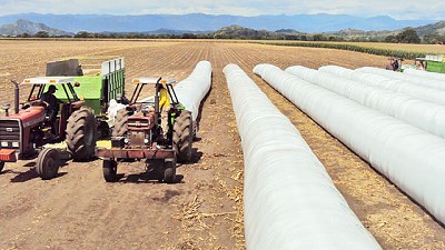 El campo considera que con este precio ya es hora de vender