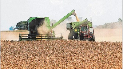 Agroindustria: ciclos, climas, oportunidades y muchas luces, por Leonardo Sarquís