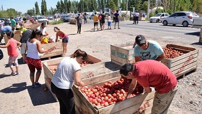 Crisis frutícola: productores de Río Negro regalaron manzanas en la Ruta 22