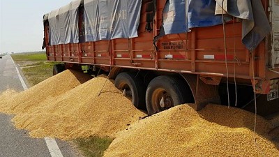 Advierten que aún hay problemas con camioneros en el puerto de Quequén