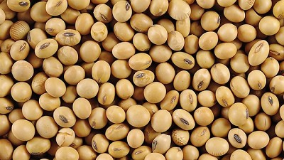 Aumentó el precio de la soja en Rosario y en casos muy puntuales se pagaron $6000