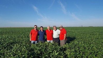 En red, para renovar el modelo productivo