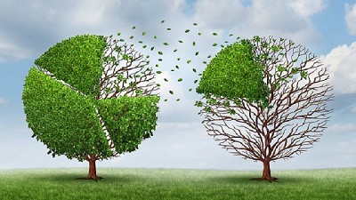 Radio: “Compartiendo ideas con el hemisferio derecho que aprendí esta semana”; por Ricardo Bindi