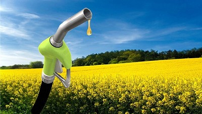 Prevén que el plan oficial para producir biodiesel generará 500 empleos 