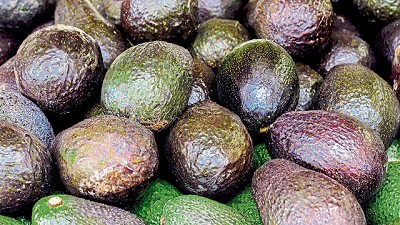 El mal clima y la demanda global ponen a prueba el amor de Estados Unidos por la palta