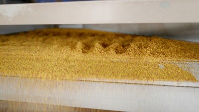 Trámites Online: se oficializaron las nuevas plantillas para importación y exportación de semillas