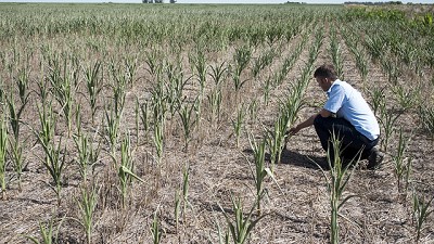 La sequía lleva cuatro meses y ya es la peor en 44 años