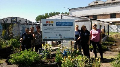 Riego por goteo para cuidar la huerta sin desperdiciar agua