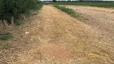 Recuperan 374 toneladas de trigo robadas en 9 de Julio