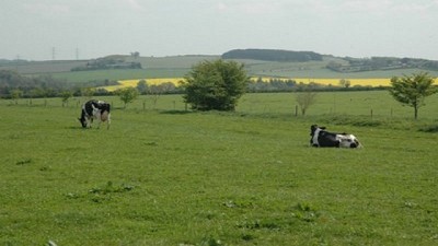 Cómo preparar el lote para implantar pasturas